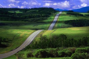 The Long Road